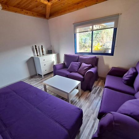 Tenerife Apartment 100M2 Casa De Don Quijote With A Terrace Of 100M2 With A View Of The Ocean And Teide Volcano And A Garden Of 600M2 Icod De Los Vinos Bagian luar foto