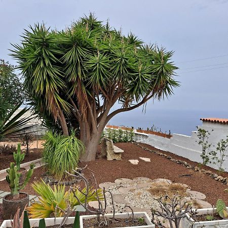 Tenerife Apartment 100M2 Casa De Don Quijote With A Terrace Of 100M2 With A View Of The Ocean And Teide Volcano And A Garden Of 600M2 Icod De Los Vinos Bagian luar foto