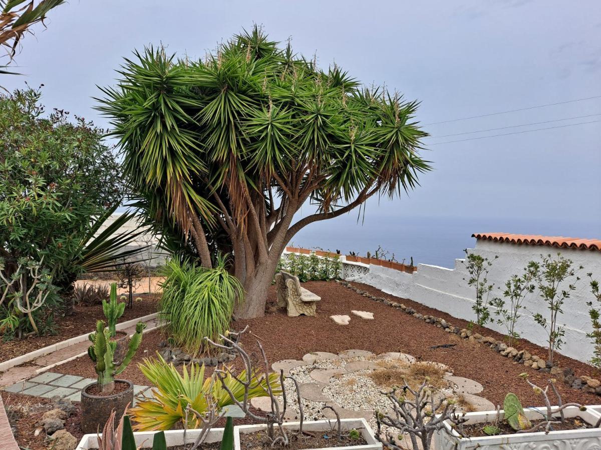 Tenerife Apartment 100M2 Casa De Don Quijote With A Terrace Of 100M2 With A View Of The Ocean And Teide Volcano And A Garden Of 600M2 Icod De Los Vinos Bagian luar foto