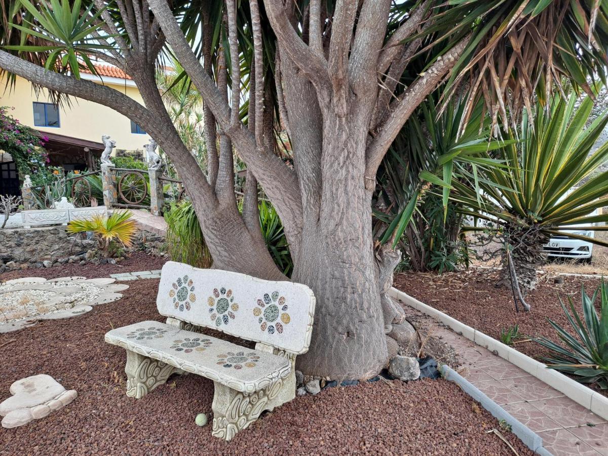 Tenerife Apartment 100M2 Casa De Don Quijote With A Terrace Of 100M2 With A View Of The Ocean And Teide Volcano And A Garden Of 600M2 Icod De Los Vinos Bagian luar foto
