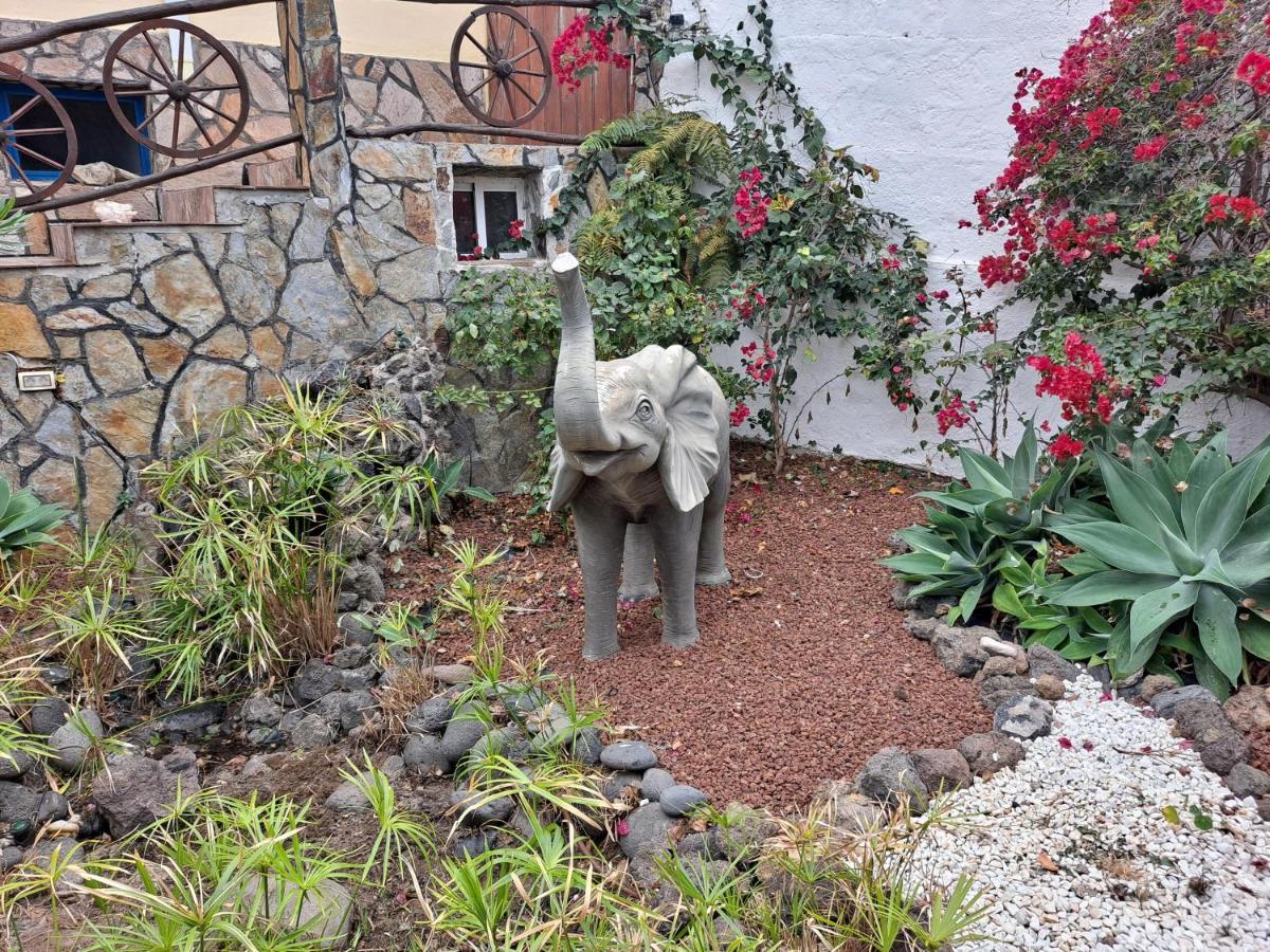 Tenerife Apartment 100M2 Casa De Don Quijote With A Terrace Of 100M2 With A View Of The Ocean And Teide Volcano And A Garden Of 600M2 Icod De Los Vinos Bagian luar foto