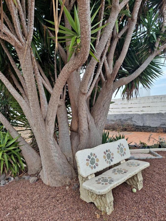 Tenerife Apartment 100M2 Casa De Don Quijote With A Terrace Of 100M2 With A View Of The Ocean And Teide Volcano And A Garden Of 600M2 Icod De Los Vinos Bagian luar foto